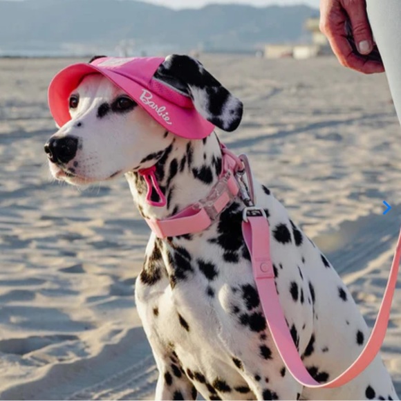 Barbie | Dog | Barbie Dog Collar Limited Edition | Poshmark